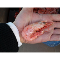 ООО "Айсберг 8"